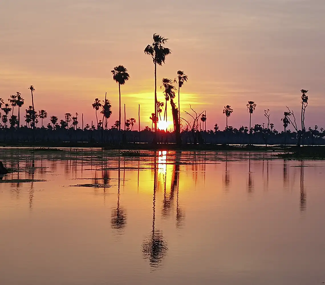 Atardecer sobre el Bañado La Estrella con palmeras carandillo y champales reflejados en el agua — 7ª Maravilla Argentina, Formosa.
