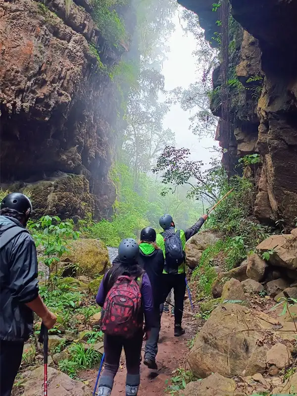 Grupo realizando trekking en el Cañón de los Loros en las Yungas de Jujuy, rodeado de vegetación y paredes rocosas.