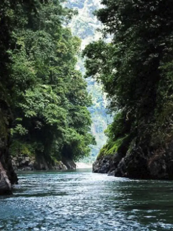 Río caudaloso atravesando un impresionante cañón de paredes rocosas cubiertas de densa selva virgen.