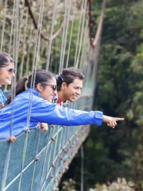 Grupo de viajeros observando la fauna desde un puente colgante en el Bosque Nuboso de Monteverde, Costa Rica