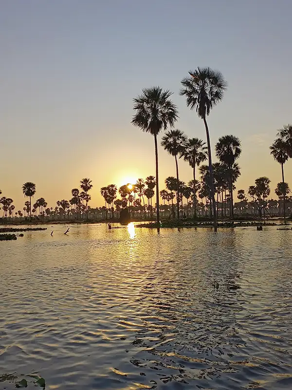 Atardecer sobre los canales del Bañado La Estrella con palmeras carandillo reflejadas en el agua, Formosa, Argentina.