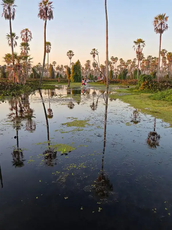 Viajeras de Vivak Aventuras entre palmeras y espejos de agua al atardecer en el Bañado La Estrella, Formosa.