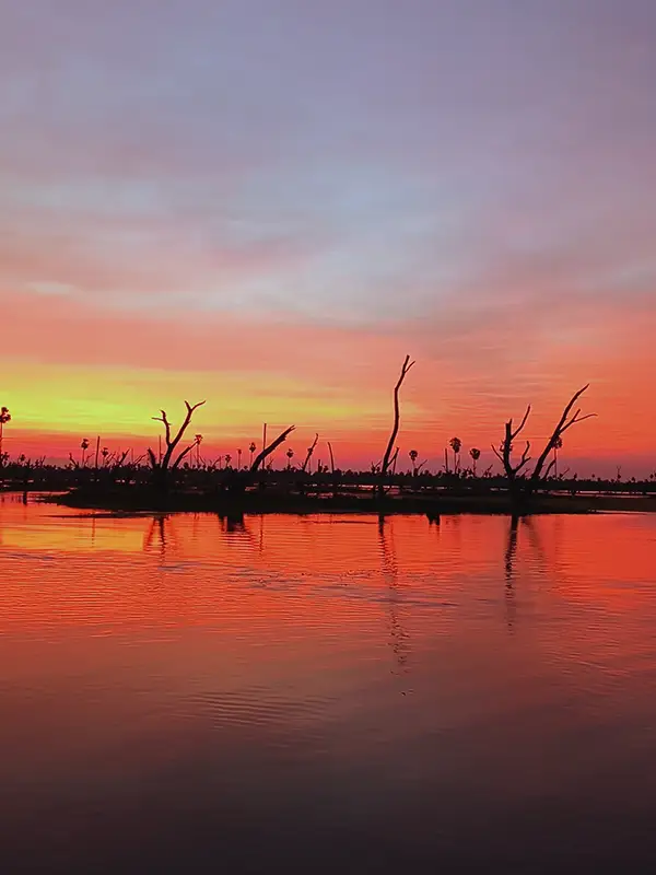 Siluetas de champales — troncos de árboles secos — reflejados en el agua bajo un cielo naranja y violeta al amanecer en el Bañado La Estrella, Formosa.