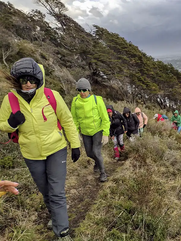 Grupo de mujeres realizando trekking en fila por sendero costero con viento y vegetación patagónica en Ushuaia, Tierra del Fuego.