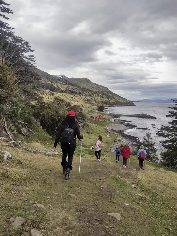 Grupo de mujeres turistas caminando con bastones de trekking por un sendero costero verde junto al mar, explorando los paisajes de Ushuaia.