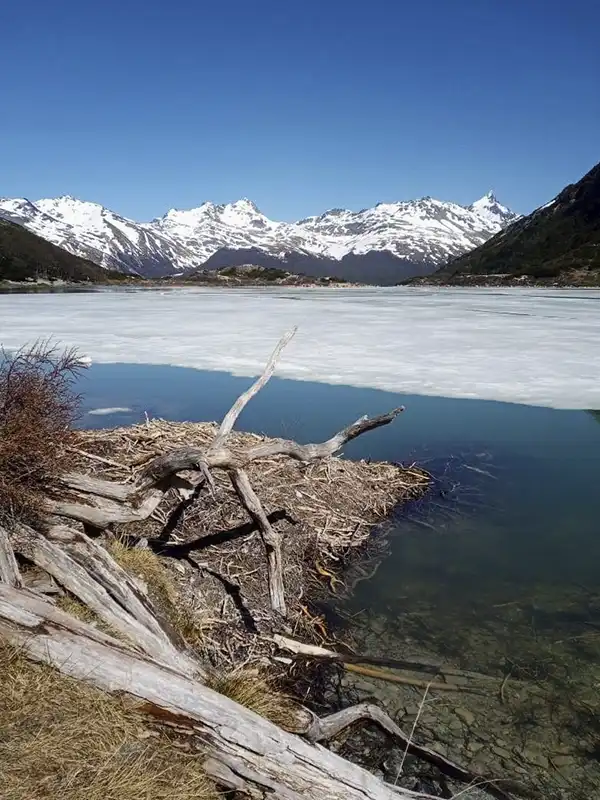 Laguna Esmeralda parcialmente congelada con cordillera nevada al fondo en un día de cielo despejado, Ushuaia, Tierra del Fuego.