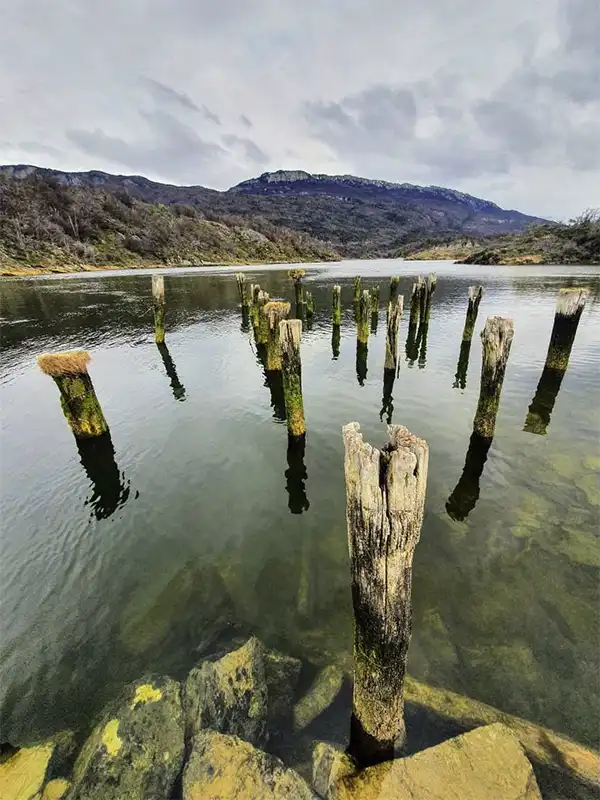 Postes de madera sumergidos en el lago Acigami con montañas y bosque nativo al fondo, Parque Nacional Tierra del Fuego, Ushuaia.