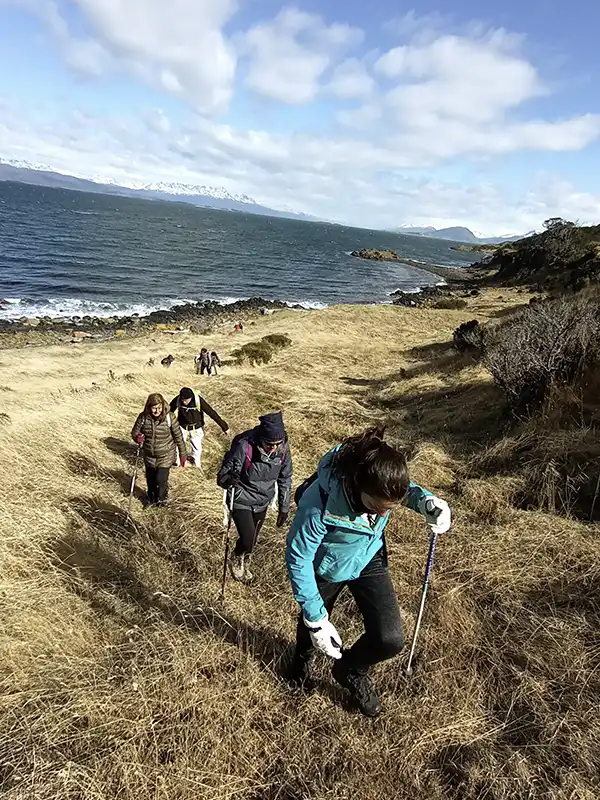 Grupo de viajeras haciendo trekking por pastizales patagónicos con bastones, con el Canal de Beagle y montañas nevadas al fondo, Estancia El Túnel, Ushuaia.