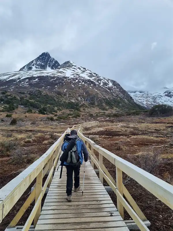 Turista haciendo trekking con bastones sobre una pasarela de madera que cruza un turbal rojizo, caminando hacia montañas nevadas en Ushuaia.