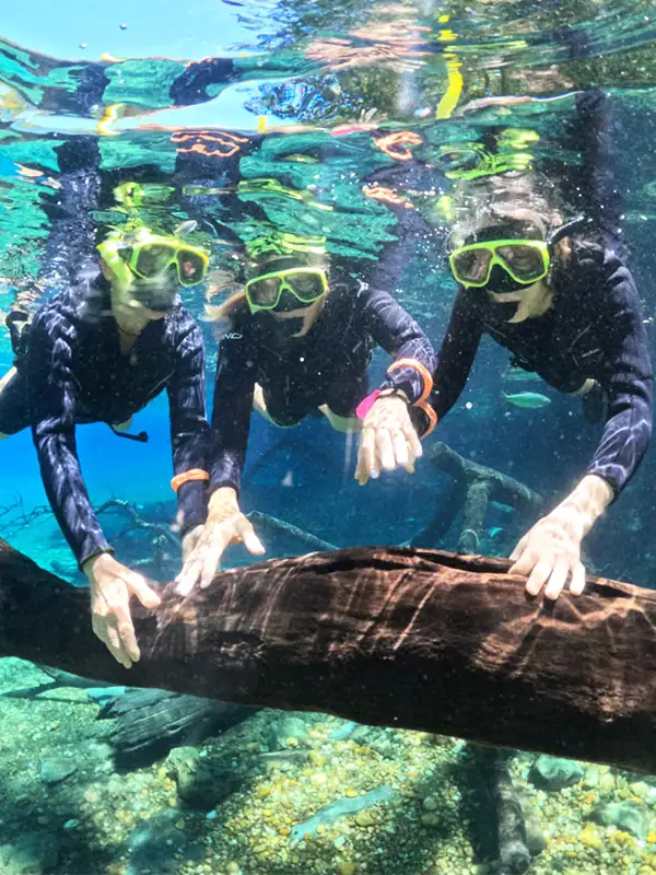 Tres mujeres haciendo flotación con snorkel en las aguas cristalinas de un río de Bonito