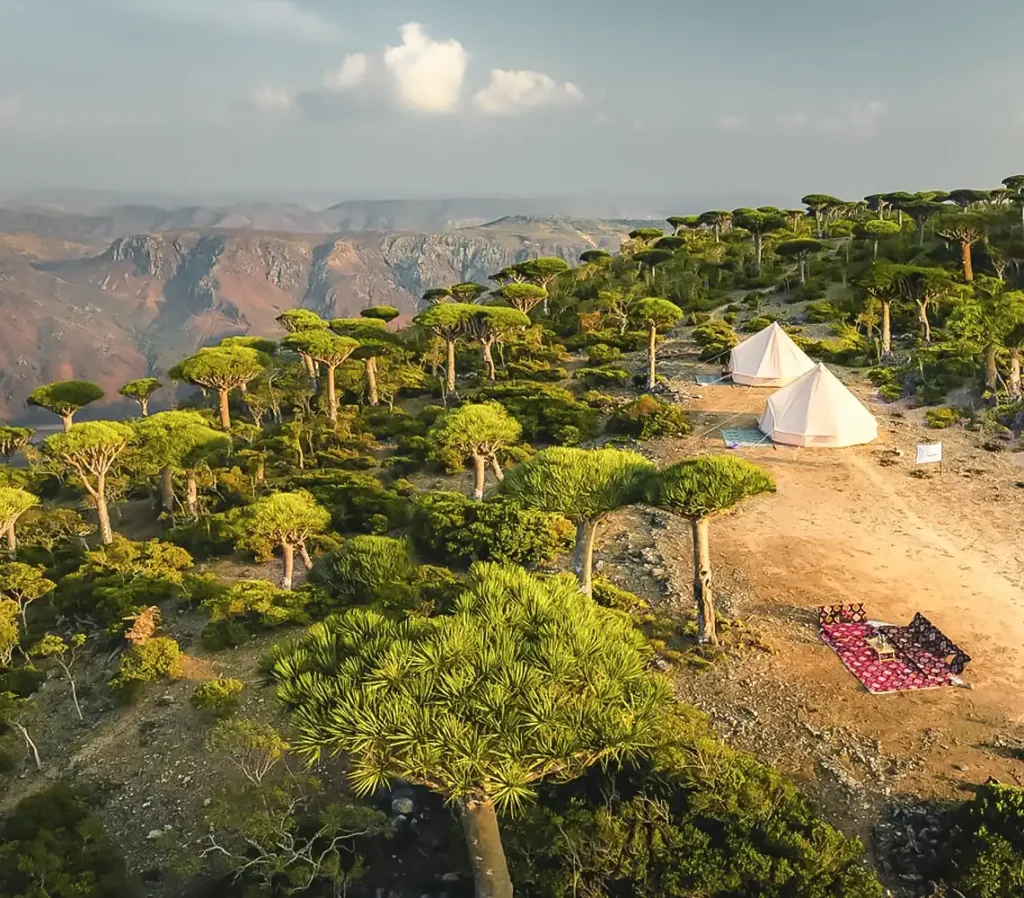 socotra-campamento-bosque-vista-panoramica